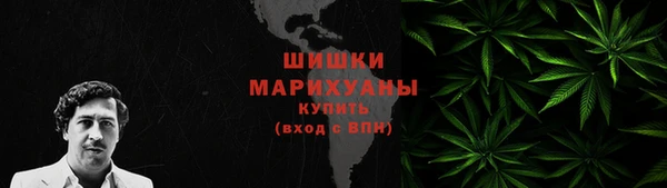 МДПВ Вяземский